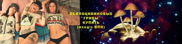 бошки Горно-Алтайск