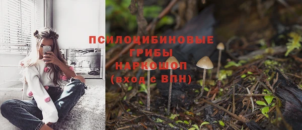 бошки Горно-Алтайск